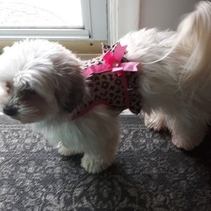 Meet your Posher, Tracie